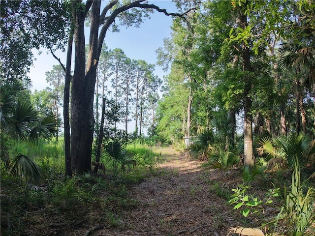 0 SE 144th Pl, Inglis, FL 34449
