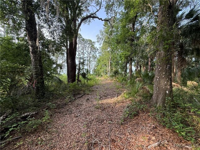0 SE 144th Pl, Inglis, FL 34449