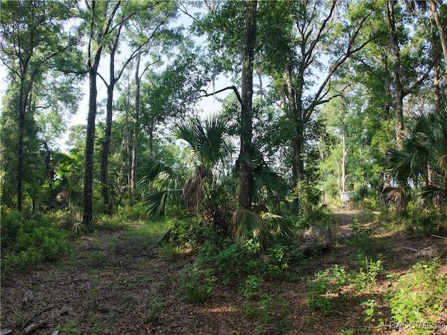 0 SE 144th Pl, Inglis, FL 34449