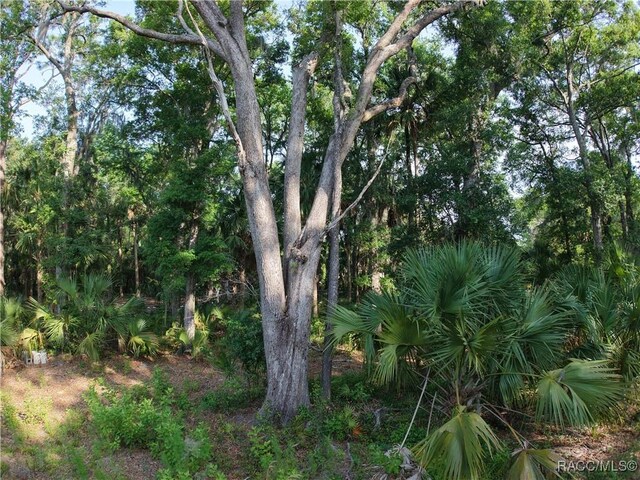 0 SE 144th Pl, Inglis, FL 34449