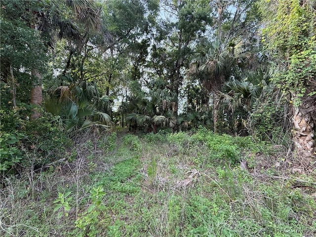 0 SE 144th Pl, Inglis, FL 34449