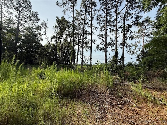0 SE 144th Pl, Inglis, FL 34449
