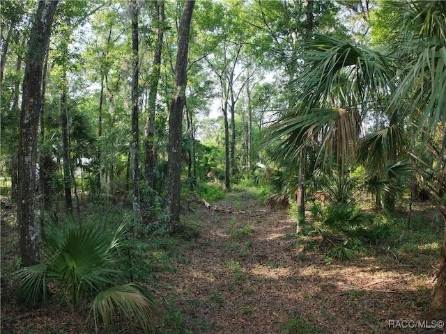 0 SE 144th Pl, Inglis, FL 34449