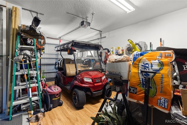 5705 N Bedstrow Blvd, Beverly Hills, FL 34465 - garage with a garage door opener