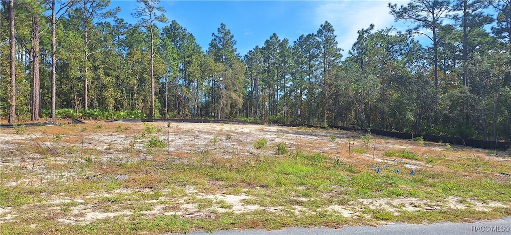 view of local wilderness