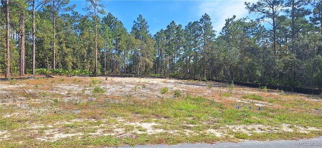 view of local wilderness