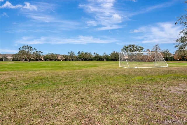 6266 Triple Tail Court, Myakka City, FL 34202 - photo 70