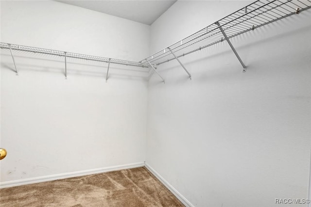 6266 Triple Tail Court, Myakka City, FL 34202 - photo 22