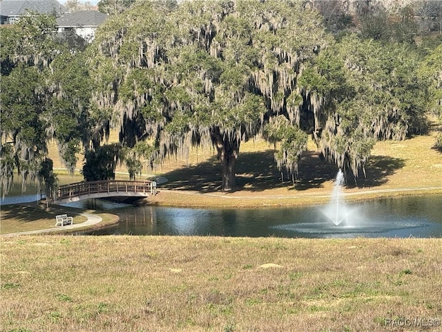 244 N Lake Shenandoah Loop, Inverness FL, 34453 land for sale