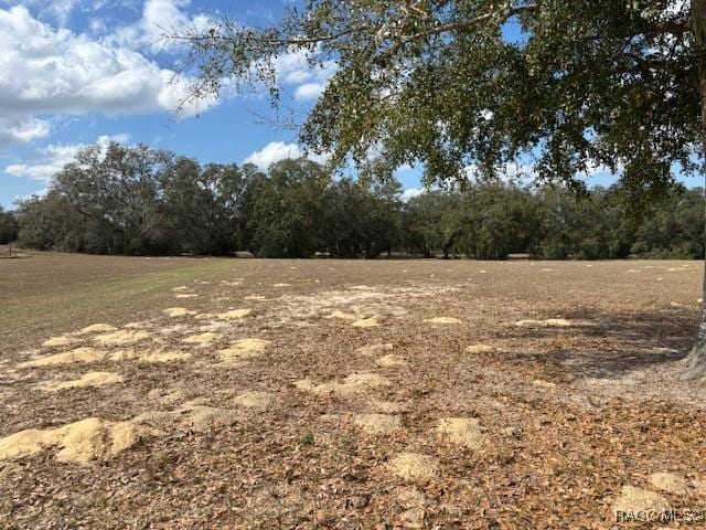 2644 N Clements Ave, Hernando FL, 34442 land for sale