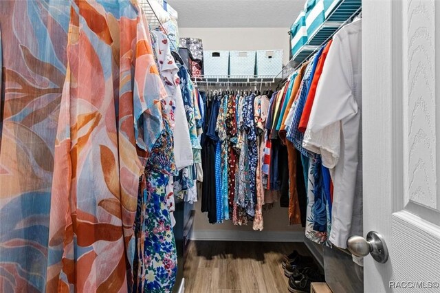 9973 N Chelic Dr, Citrus Springs, FL 34434 - spacious closet featuring wood finished floors