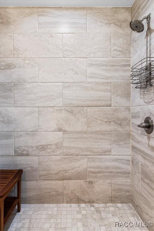 9973 N Chelic Dr, Citrus Springs, FL 34434 - full bath featuring tiled shower