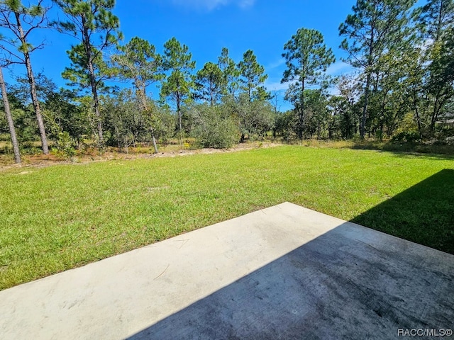 view of yard with a patio