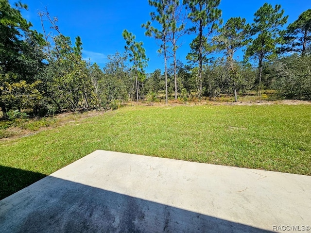 view of yard featuring a patio area