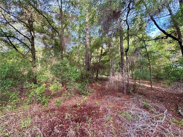 909 Ferncreek Ave, Inverness, FL 34453