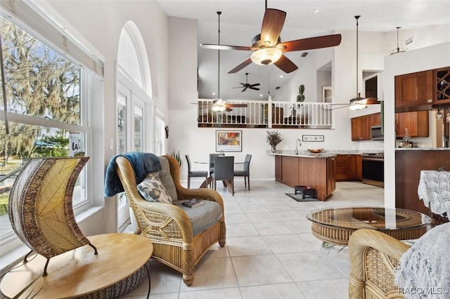 interior space with sink and high vaulted ceiling