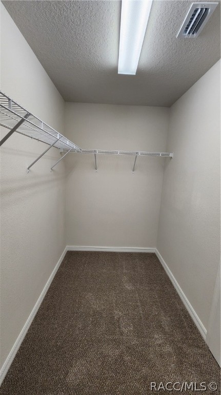 spacious closet with carpet floors