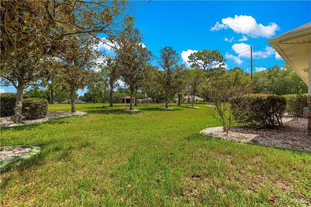 1200 N Annapolis Ave, Hernando, FL 34442 - view of grassy yard