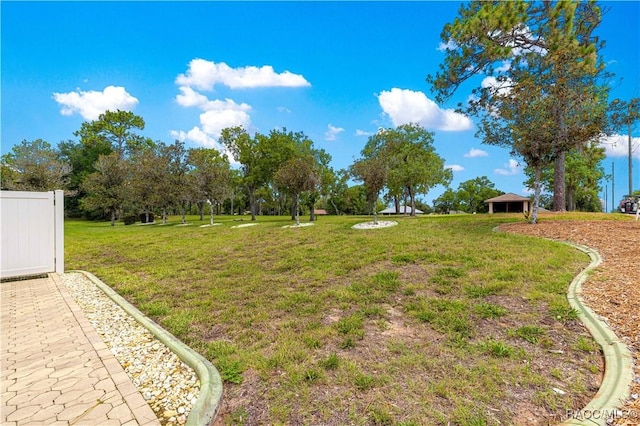 1200 N Annapolis Ave, Hernando, FL 34442 - view of grassy yard