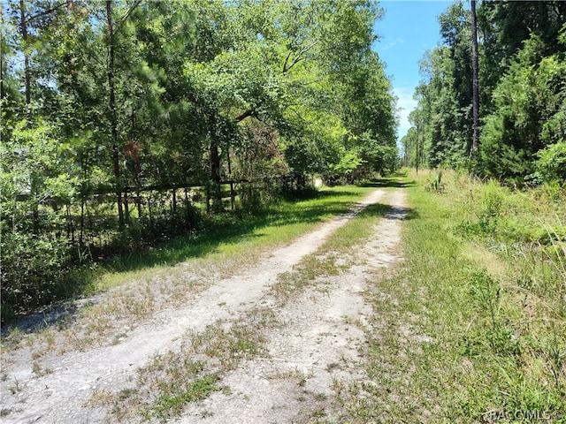 Listing photo 2 for LOTA NE 66th Ct, Citra FL 32113