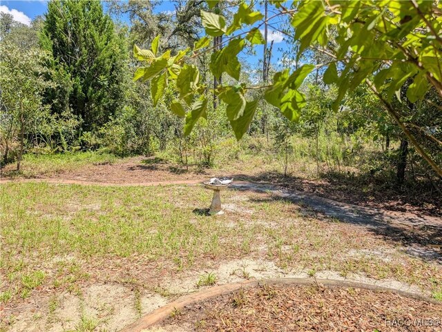 1293 W Hampshire Blvd, Citrus Springs, FL 34434 - photo 34