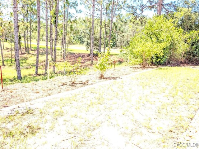 1293 W Hampshire Blvd, Citrus Springs, FL 34434 - photo 30