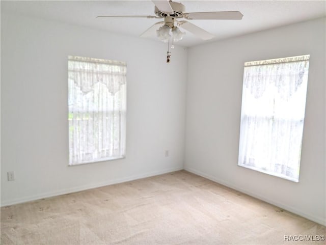 1293 W Hampshire Blvd, Citrus Springs, FL 34434 - photo 17