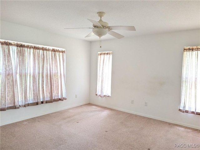 1293 W Hampshire Blvd, Citrus Springs, FL 34434 - photo 12