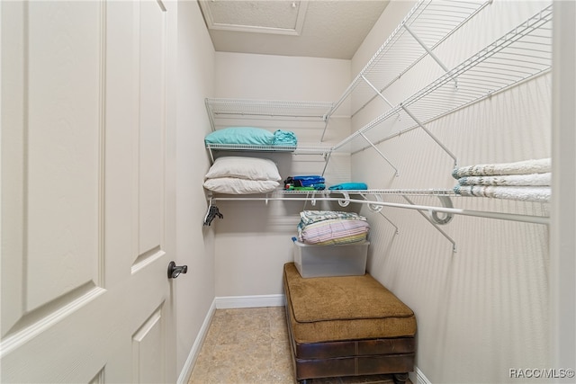 view of walk in closet