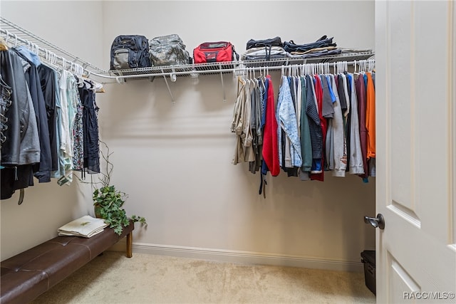 spacious closet featuring carpet flooring