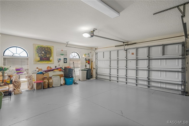 garage with a garage door opener