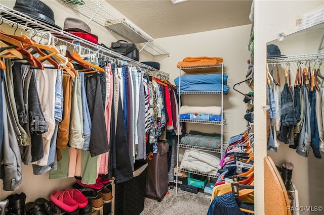 walk in closet featuring carpet floors