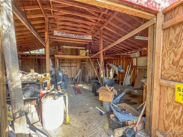 miscellaneous room with vaulted ceiling