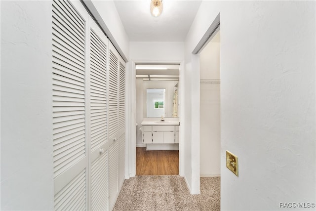 hall with sink and light colored carpet