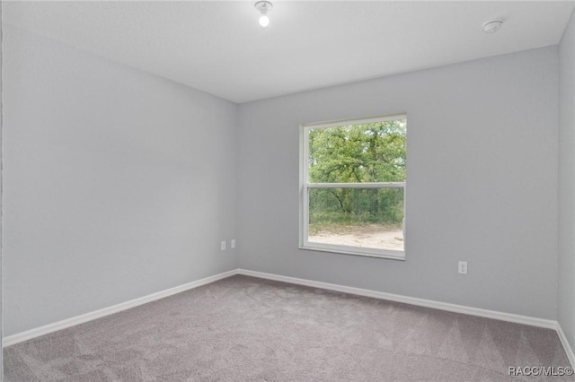 spare room featuring carpet flooring