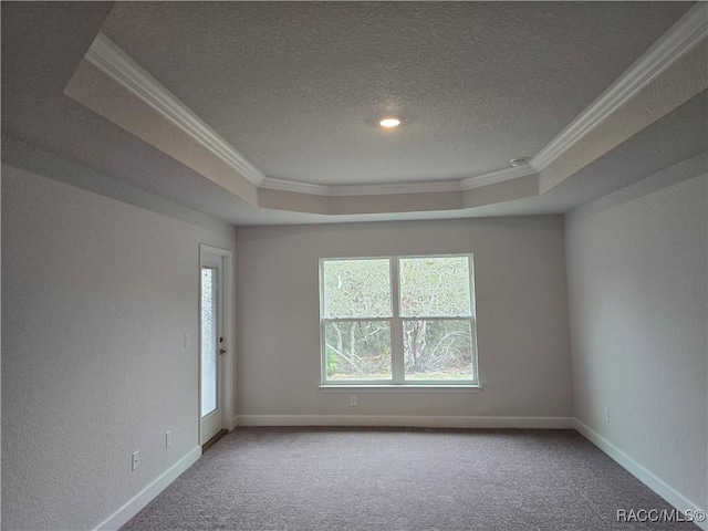 spare room with a raised ceiling, ornamental molding, carpet, and a textured ceiling