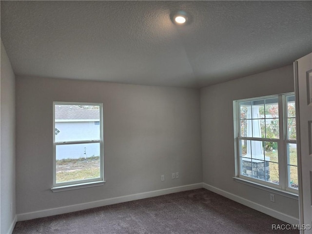 empty room with lofted ceiling, a textured ceiling, and carpet