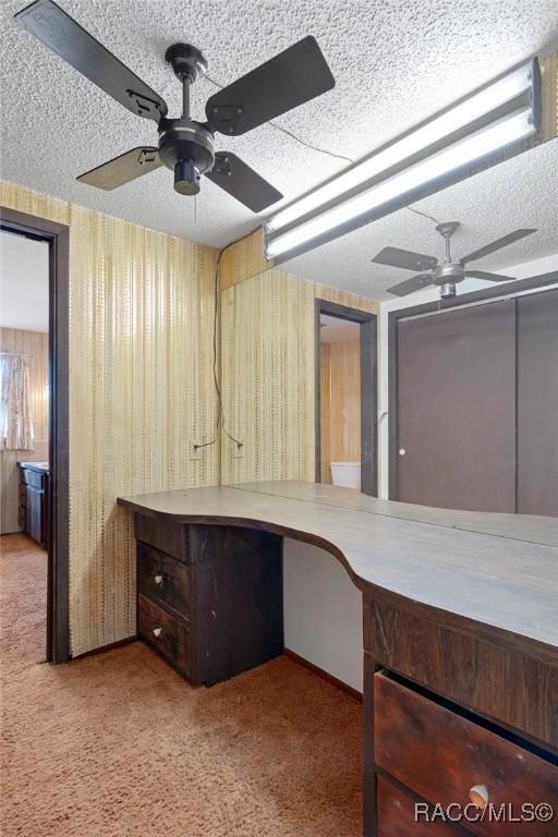 unfurnished office with carpet, a textured ceiling, and ceiling fan