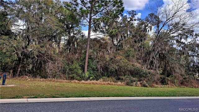 2293 N Heritage Oaks Path, Hernando FL, 34442 land for sale