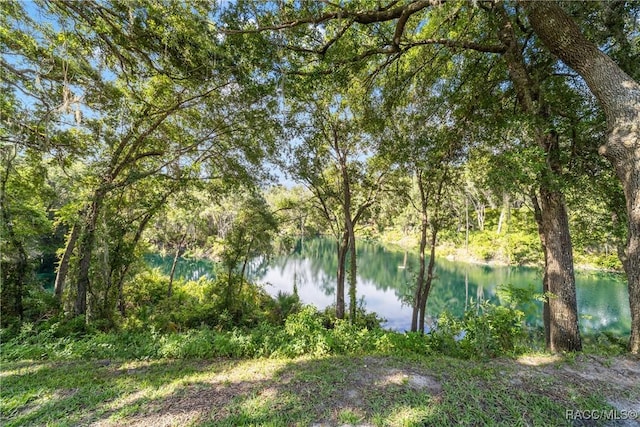 3188 N Chandler Dr, Hernando, FL 34442 - photo 78