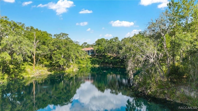 3188 N Chandler Dr, Hernando, FL 34442 - photo 3