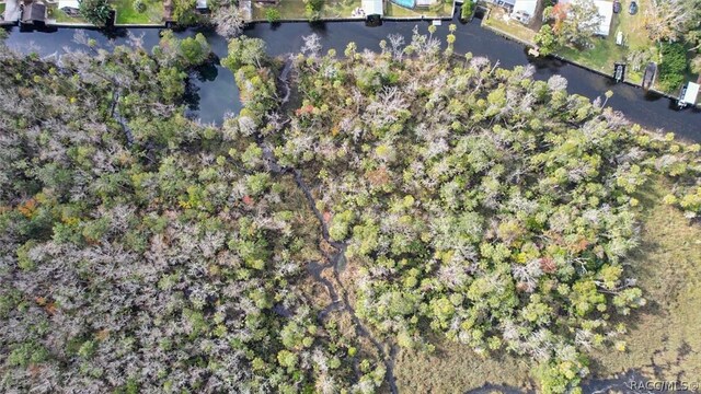 848 N Michael Brunn Pt, Crystal River, FL 34429