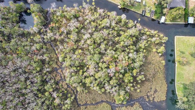 848 N Michael Brunn Pt, Crystal River, FL 34429