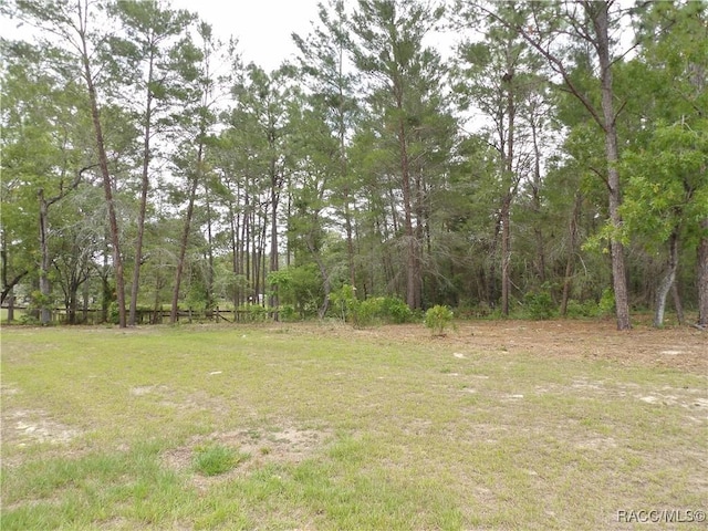7888 N Maltese Dr, Citrus Springs, FL 34433 - photo 29