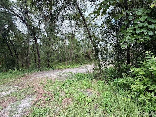 3921 S Placid Ave, Inverness, FL 34452