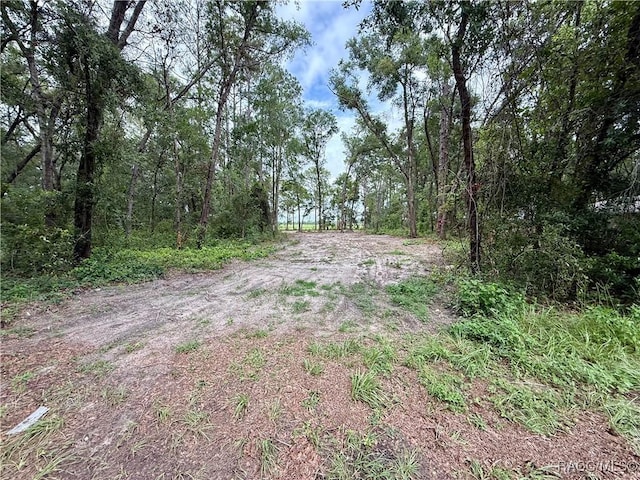 3921 S Placid Ave, Inverness, FL 34452