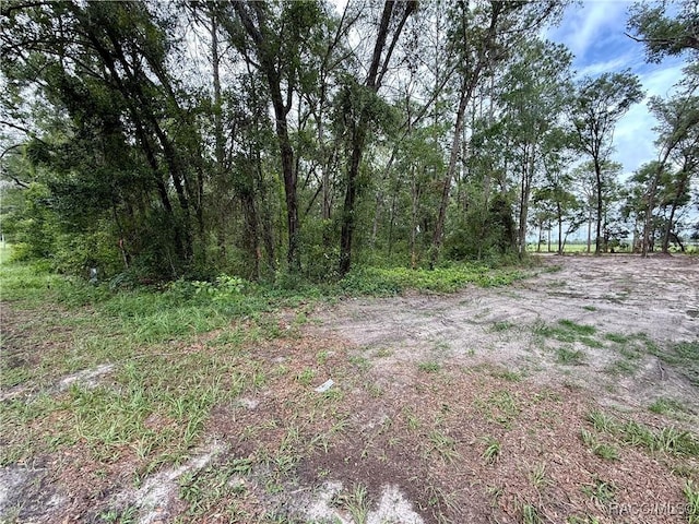 3921 S Placid Ave, Inverness, FL 34452