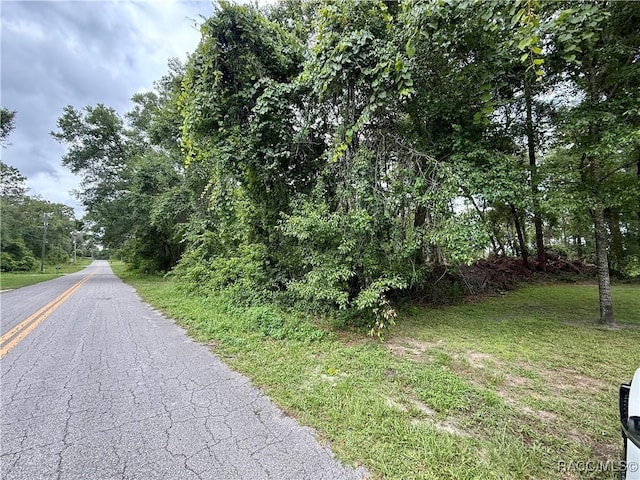 3921 S Placid Ave, Inverness, FL 34452