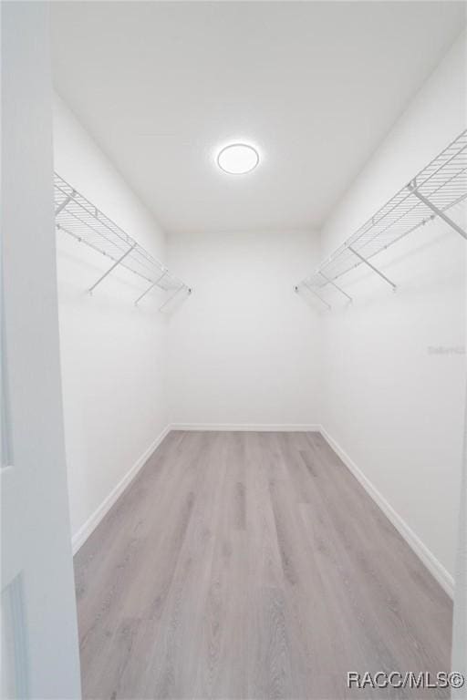 walk in closet featuring wood finished floors