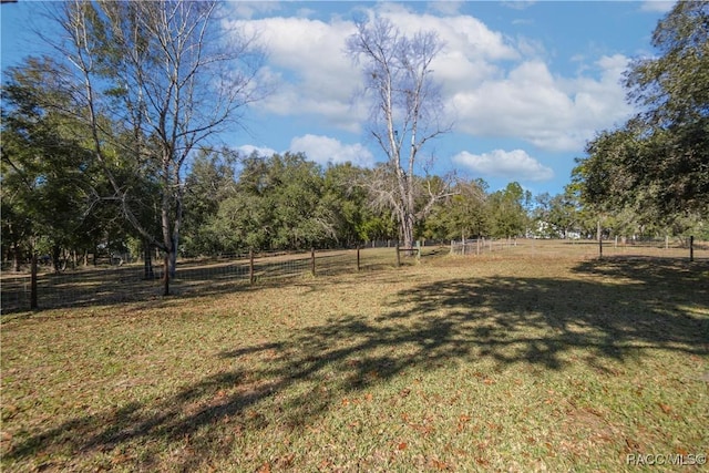 view of yard with a rural view